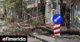 Κακοκαιρία Bora, Μήνυση, ΔΕΔΔΗΕ, Πυλαίας-Χορτιάτη, 3ο 24ωρο,kakokairia Bora, minysi, deddie, pylaias-chortiati, 3o 24oro