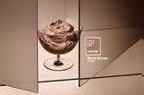 Mocha Mousse,Pantone