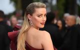 Amber Heard, Έγκυος, – Δηλώνει …,Amber Heard, egkyos, – dilonei …