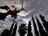Χριστούγεννα -, Κολυδά,christougenna -, kolyda
