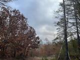 Καιρός 12122024, Αυξημένες,kairos 12122024, afximenes