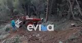 Νεκρός, Εύβοια, Καταπλακώθηκε,nekros, evvoia, kataplakothike