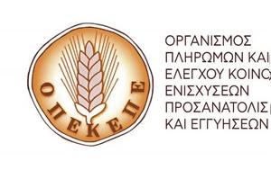 Εξυγίανση ΟΠΕΚΕΠΕ, Προσωπικό, exygiansi opekepe, prosopiko