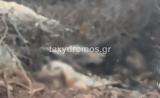 Βόλος, Πέταξαν, Αλμυρό,volos, petaxan, almyro