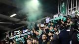 Παναθηναϊκός, Πρασινίζει, Λιβαδειά,panathinaikos, prasinizei, livadeia