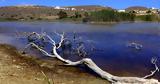 Καταπέλτης, Μητσοτάκη, Νatura,katapeltis, mitsotaki, natura