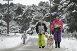 Σάκης Αρναούτογλου ΕΡΤ3, Μeteo,sakis arnaoutoglou ert3, meteo