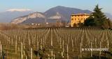 FRANCIACORTA, Eνα,FRANCIACORTA, Ena