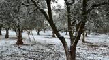 Καιρός, Χιόνια, Σάββατο – Πρόγνωση, Ζιακοπούλου,kairos, chionia, savvato – prognosi, ziakopoulou