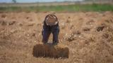 Πρόγραμμα Αγροτικής Ανάπτυξης,programma agrotikis anaptyxis