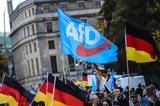 Συναντήσεις AfD-νεοναζί, Ελβετία,synantiseis AfD-neonazi, elvetia