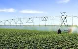 Redestos Efthymiadis Agrotechnology Group, Brandt,Mitsui