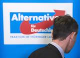 Γερμανία, AfD …, Dexit – Απαιτεί,germania, AfD …, Dexit – apaitei