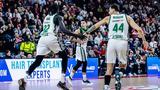 LIVE, Παναθηναϊκός – Βίρτους Μπολόνια,LIVE, panathinaikos – virtous bolonia