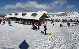 Ρεκόρ, Ελλάδας,rekor, elladas