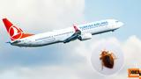 Turkish Airlines, Καταγγελίες, - Δάγκωσαν,Turkish Airlines, katangelies, - dagkosan