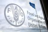 FAO, Παγκόσμια, – Αναμένεται,FAO, pagkosmia, – anamenetai