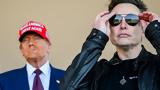 Έλον Μασκ,elon mask