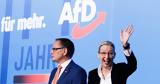 CDU,AfD