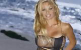 Πάμελα Αντερσον, Τόμι Λι,pamela anterson, tomi li