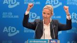 Γερμανία, Βάιντελ, AfD – Επαναπατρισμοί, Μασκ,germania, vaintel, AfD – epanapatrismoi, mask