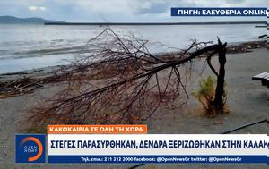 – Άνοιξαν, Μεσσηνία, Λ Ποσειδώνος, – anoixan, messinia, l poseidonos