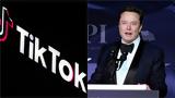 TikTok, Κοντά, Έλον Μασκ, Κίνα,TikTok, konta, elon mask, kina