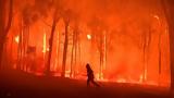 Φωτιές, Λος Άντζελες, Είσαι, 24χρονος,foties, los antzeles, eisai, 24chronos