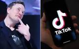 Πιθανή, TikTok, Έλον Μασκ,pithani, TikTok, elon mask