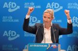 AfD, Απρόσκλητη, Βάιντελ, Αμβούργου,AfD, aproskliti, vaintel, amvourgou