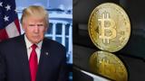 TRUMP, Ντόναλντ Τραμπ,TRUMP, ntonalnt trab