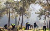 Αγγελούδης, - 1000, Τριανδρία ΦΩΤΟ,angeloudis, - 1000, triandria foto