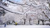 Μετεωρολόγοι,meteorologoi