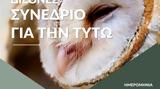 Διεθνές Συνέδριο, Τυτώ Barn Owl,diethnes synedrio, tyto Barn Owl