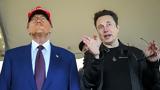 Μήνυση, Ίλον Μασκ, Τραμπ,minysi, ilon mask, trab
