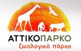 Ανακοίνωση Αττικού Ζωολογικού Πάρκου,anakoinosi attikou zoologikou parkou