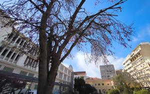 Καιρός, Τετάρτη, kairos, tetarti
