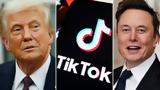 TikTok, Τραμπ, ΗΠΑ - Σας, 50 Βίντεο,TikTok, trab, ipa - sas, 50 vinteo