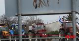 Αγρότες, Σήμερα, Θεσσαλία,agrotes, simera, thessalia
