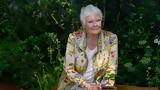 Judi Dench, Συγκλονίζει, – Δεν,Judi Dench, sygklonizei, – den