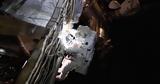 NASA, Επιθυμεί, Διάστημα,NASA, epithymei, diastima