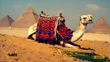 Travel Guide | ΚΑΪΡΟ | Πυραμίδες, Κρουαζιέρα, Νείλο,Travel Guide | kairo | pyramides, krouaziera, neilo