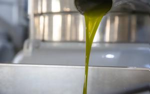 European Court, Auditors Investigates Olive Oil Authenticity, Safety, Greece