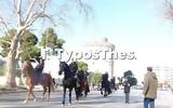 Άλογα, Θεσσαλονίκη ΦΩΤΟ + VIDEO,aloga, thessaloniki foto + VIDEO