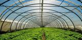 Θερμοκήπια Smart Greenhouses, Μέλλον, Ελληνικής Γεωργίας,thermokipia Smart Greenhouses, mellon, ellinikis georgias