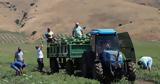 Αγρότες, Φεβρουαρίου,agrotes, fevrouariou
