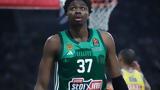 Παναθηναϊκός, Αταμάν, Αντετοκούνμπο,panathinaikos, ataman, antetokounbo