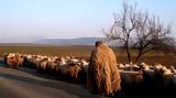 Συναγερμός, Ιωάννινα, Σοβαρό,synagermos, ioannina, sovaro