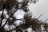 Καιρός, Έρχεται, Φεβρουάριος,kairos, erchetai, fevrouarios