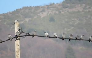 Υπουργείο Υγείας, Εγκύκλιος, ypourgeio ygeias, egkyklios